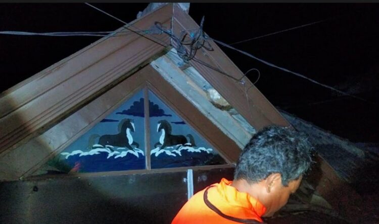 Tim Rescue DKPP Evakuasi Sarang Tawon Vespa di Rumah Warga