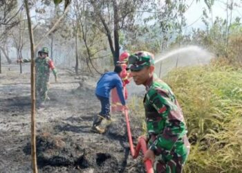 Tim gabungan berupaya memadamkan api kebakaran lahan yang terjadi di wilayah Kecamatan Katingan Hilir belum lama ini.