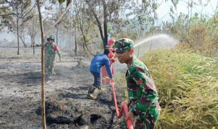 Tim gabungan berupaya memadamkan api kebakaran lahan yang terjadi di wilayah Kecamatan Katingan Hilir belum lama ini.