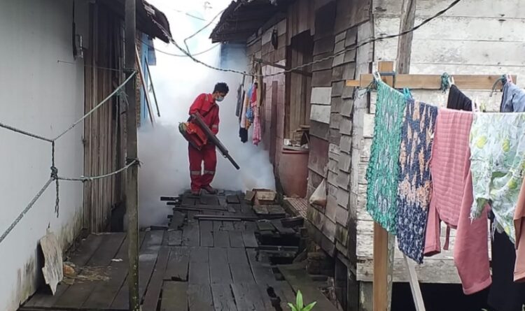 Demam Berdarah Dengue di Kecamatan Seruyan Hilir Capai 62 Kasus