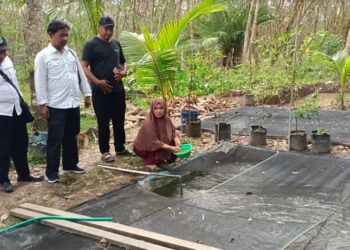 perkuat Ketahanan Pangan Lokal Desa Anjir Sarapat Tengah Kembangkan Budidaya Ikan Air Tawar