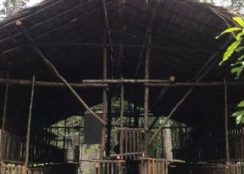Budidaya Ayam Petelur di Bartim, Mulai Dilirik Masyarakat