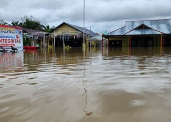Bencana Banjir Merendam Sejumlah Desa di Kapuas Tengah