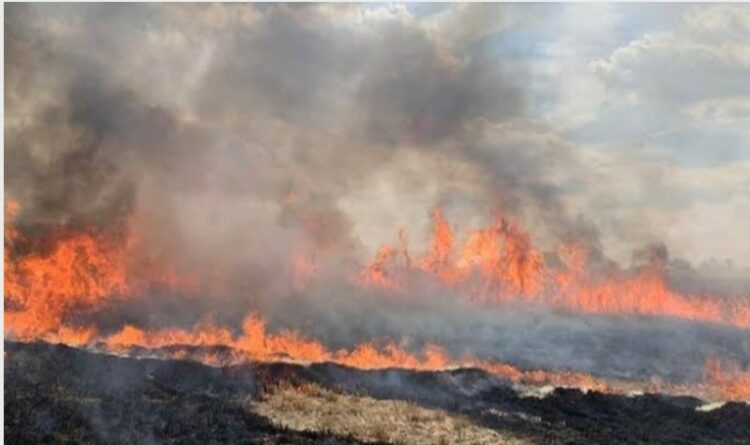 Caption: Bencana kebakaran di sebuah ladang kering (foto repro : CNN)