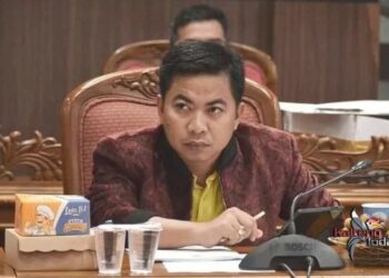 Rumah Sakit Swasta di Kotim Jadi Harapan Legislator untuk Perbaikan Layanan Kesehatan
