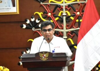 Wakili Pemprov Kalteng, Kadiskominfosantik  Apresiasi APAVMI