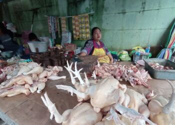 Harga Daging Ayam Ras Naik Rp 3 Ribu