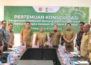 DLH Pulang Pisau Rapat Konsolidasi Perlindungan dan Pelestarian Alam