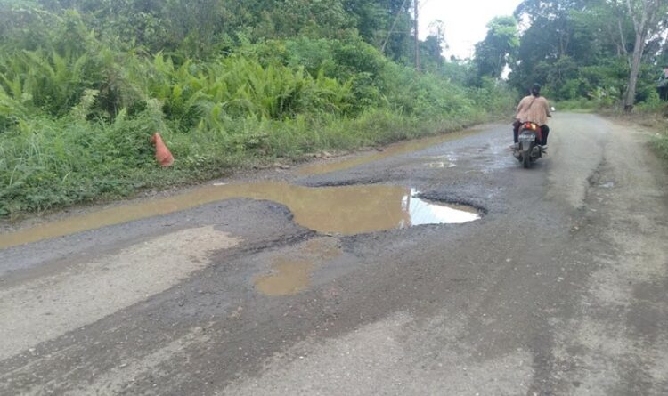 Lobang Menganga di Jalan Provinsi Desa Sumur Membahayakan Pengguna Jalan