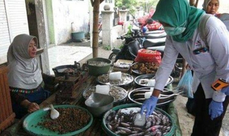 Teks Foto : Jajaran Dinas Perikanan Kota Palangka Raya, pada saat meninjau pedagang ikan di Pasar