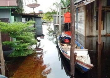Sebanyak 20 Desa di Barsel Terendam Banjir