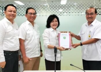 Bupati Pulang Pisau Konsultasi Persampahan Dengan Direktur Sanitasi