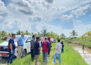 Pembangunan Pabrik Beras Modern di Desa Lempuyang Telan Biaya Rp 15 Miliar