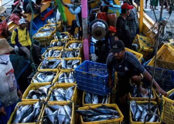 Pasokan Ikan Kabupaten Bartim Masih Didatangkan dari  Kalsel