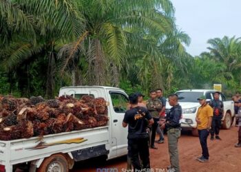 DAD Dukung Penangkapan Pengguna Narkoba oleh Keamanan PT. CKS.