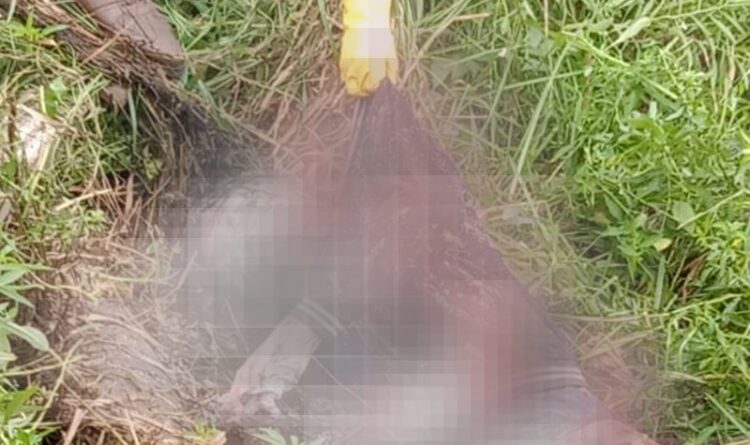 Foto : Temuan mayat mengapung di dalam parit sudah mengeluarkan aroma.bau busuk di Jalan Jepang Trans Kalimantan.