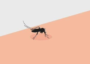 Musim Pancaroba, Warga Kotim Diminta Waspada DBD