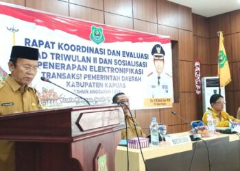 Serapan PAD Kapuas di Triwulan II Masih Rendah 6 Persen