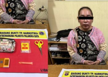 Edarkan 15,24 Gram Sabu, IRT Diringkus Polisi