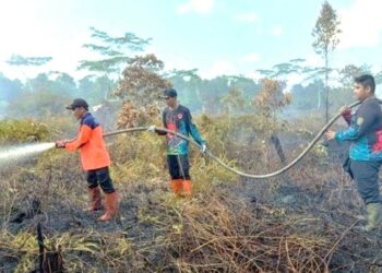 1,5 Hektare Lahan Di Tasik Payawan Terbakar