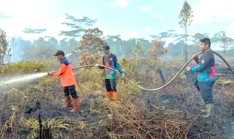 1,5 Hektare Lahan Di Tasik Payawan Terbakar