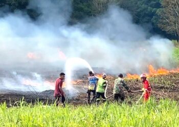 Hingga Juni 2023, 34 Karhutla Terjadi di Kota Palangka Raya
