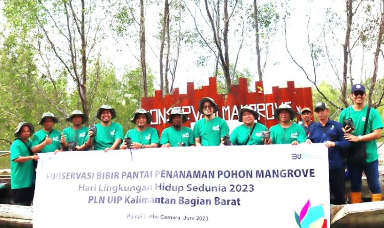 Peringatan Hari Lingkungan Hidup, Tanam 4.000 Mangrove di Pantai Seribu Cemara