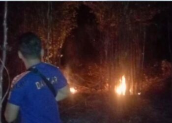 Kasus Kebakaran Lahan di Katingan Mulai Muncul