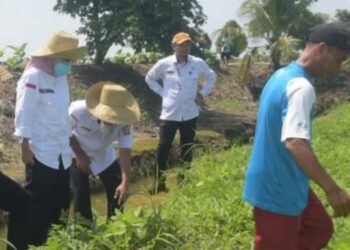 Sektor Pertanian Diyakini Dapat Berkembang di Kota Palangka Raya