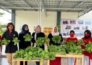 Jajaran Lapas Perempuan Kelas IIA Palangka Raya, pada saat melakukan panen pakcoy bersama WBP.