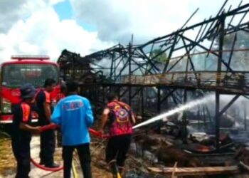 Bangunan Peternakan di Kabupaten Katingan Hangus Dilahap Api