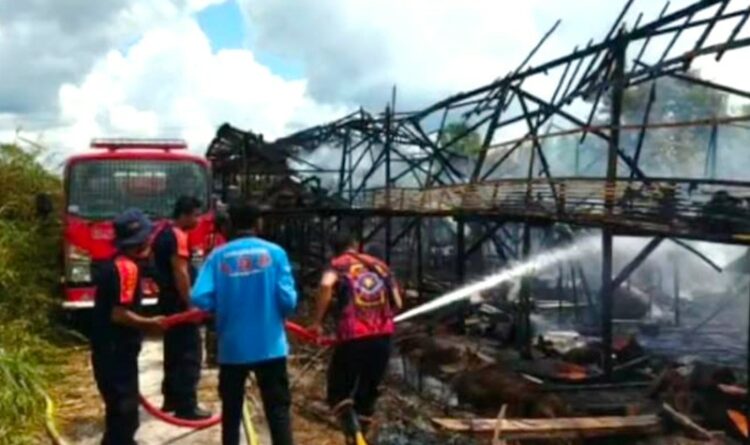 Bangunan Peternakan di Kabupaten Katingan Hangus Dilahap Api