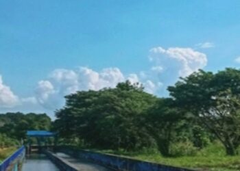 Salah satu sudut bendungan Karau, yang juga berisi potensi ikan alam (foto ; ist)