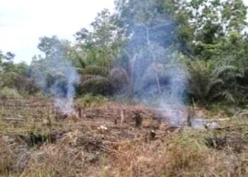 Tekan Kebakaran Hutan di Katingan