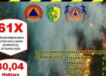 Semester I 2023, 30 Hektare Lahan di Kota Palangka Raya Hangus Terbakar