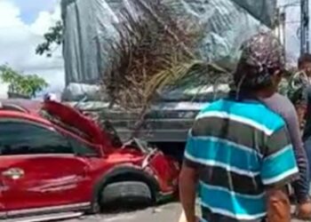 Tidak Dapat Melintas Jembatan, Truk Tronton Mundur dan Tabrak Kendaraan