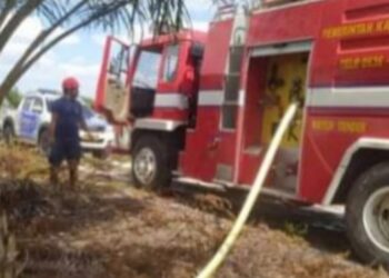 Selang Satu Hari, Kebakaran Renggut Lahan Di Katingan
