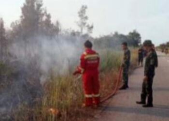 Karhutla Merajalela, Ingatkan Tangkap Pelaku Pembakar Lahan