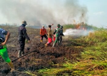 Lahan Terbakar di Kecamatan Dadahup Keluar Capai 28 Ha