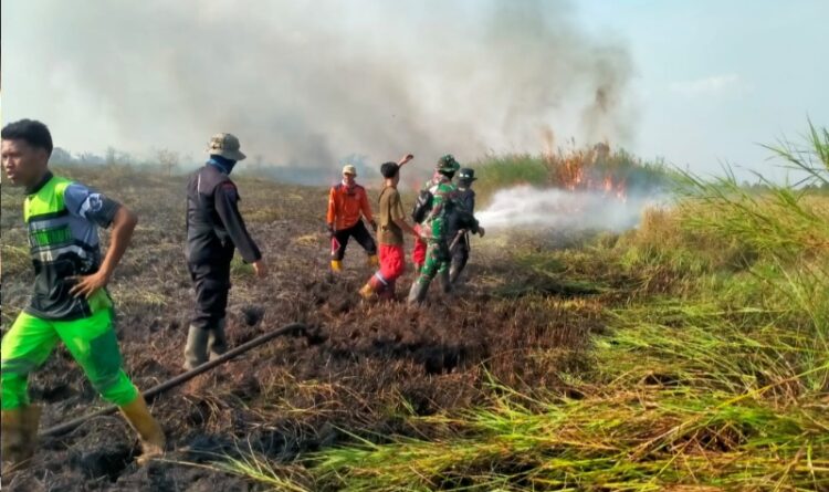 Lahan Terbakar di Kecamatan Dadahup Keluar Capai 28 Ha