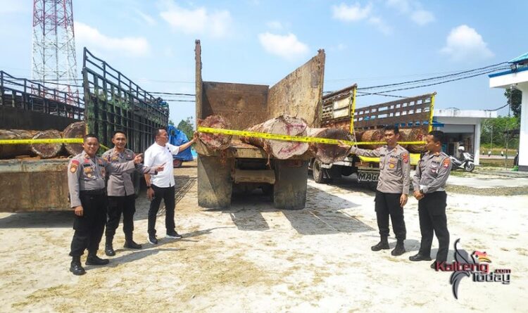 2 Orang Terduga Pelaku Ilegal Logging di Barsel Diamankan