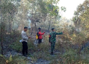 7 Hektare Lahan di Petuk Bukit Hangus Terbakar