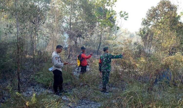 7 Hektare Lahan di Petuk Bukit Hangus Terbakar