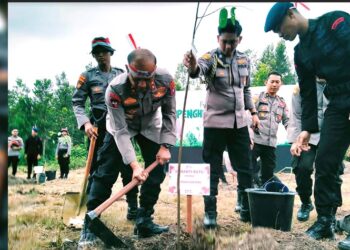 Bantu Penghijauan, Polda Kalteng Tanam 44.850 Bibit Pohon