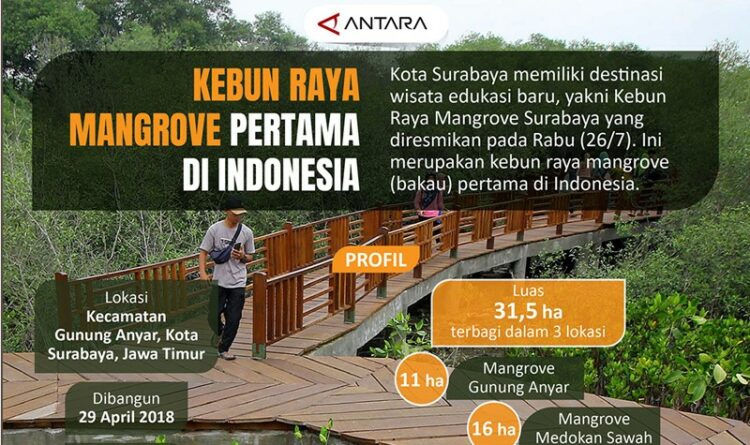 Kebun Raya Mangrove pertama di Indonesia
