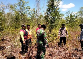 Patroli Karhutla, Polisi Temukan Adanya Lahan Rawan Terbakar di Sabangau