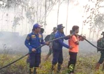 Titik Api Mulai Bermunculan di Katingan