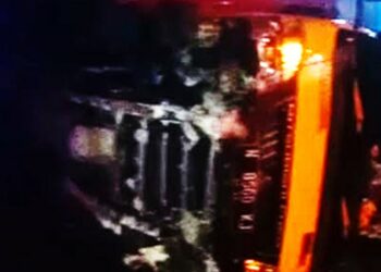 Truk Muatan Ayam Tabrak Median dan Terpental