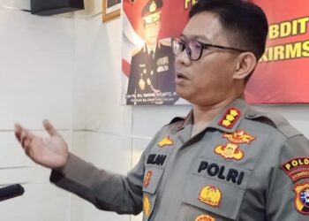 9 Kasus Karhutla Tengah Ditangani Polda Kalteng