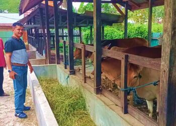 RPH Perlu Penambahan Fasilitas dan Peningkatan SDM